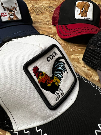 GORRA DE ADULTO LOGO BORDADO